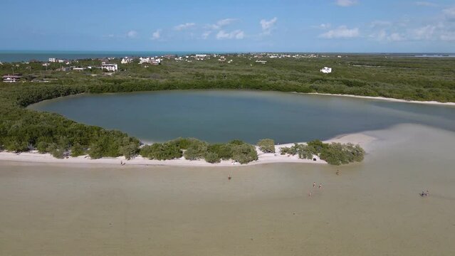 Wide angle drone shot panning downwards of the mangrove meeting the Caribbean sea and white sandy beaches off the coast of the tropical island of Holbox in Mexico shot in 4k.