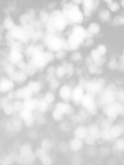 bright shadow of the tree on white wall background
