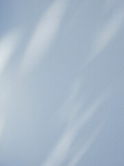 Obraz premium Natural shadow on white wall background