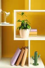 Shelf unit with ficus benjamina in pot and books near color wall in room