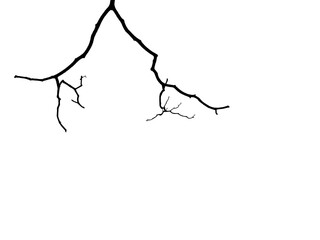 dry branch silhouette isolated on white background