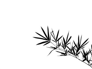 bamboo leaf silhouette isolated on white background