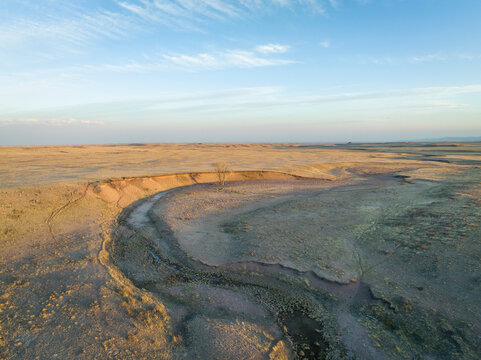 early spring on Colorado prairie - aerial view of grassland with a meandering dry stream, a lonely tree and cattle trails