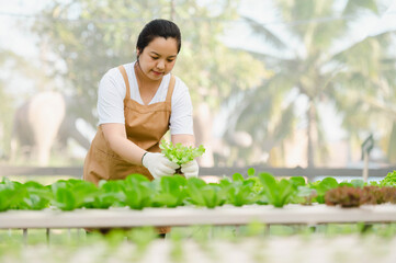 Asian farmer woman looking at vegetable in field