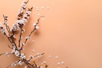 Beautiful blooming spring branches on beige background, top view