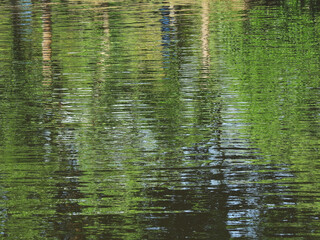 abstract water reflection of tree in the pond