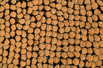 Seedling basin in a flower nursery