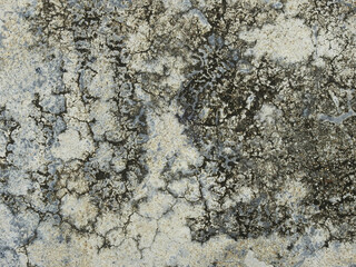 dirty concrete floor with crack texture