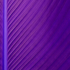 purple leaf texture, natural background