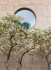 Beautiful modern house with round window and spring blossom tree. Round shape of glass window on a brick wall building.