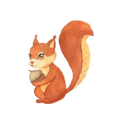 Fototapeta premium Illustration of watercolor cute red squirrel. Hand drawn character forest animal isolated on white background. Woodland illustration