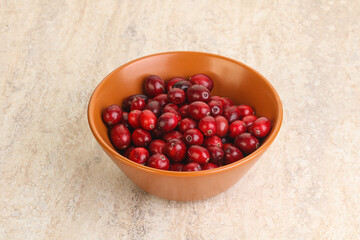 Ripe sweet tasty cranberry in the bowl