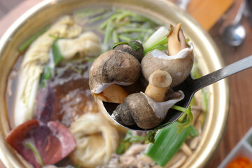 Hot soup dish with sea snail 