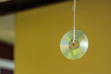 Old compact discs are hung to prevent birds from entering the house.