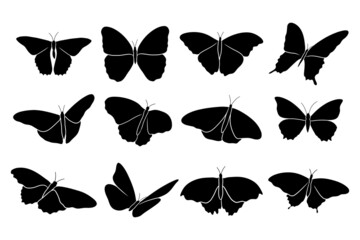 hand drawn silhouette of butterflies