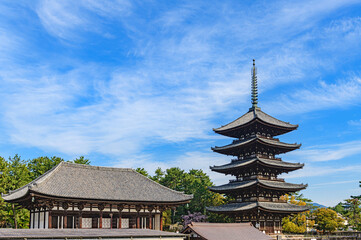 奈良 興福寺 東金堂と五重塔