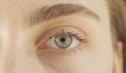Woman eyes and face. Close-up of blonde caucasian girl. Texture of the brown eye is visible. Macro detail of iris.