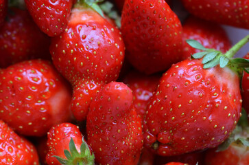 Red ripe juicy fresh strawberries