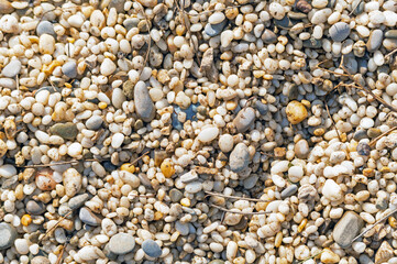 Small rocky cover the sea coast