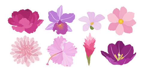 Fototapeta na wymiar Set of colorful blooming flowers illustration.