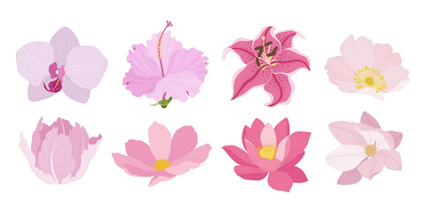 Set of colorful blooming flowers illustration.