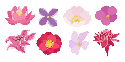 Set of colorful blooming flowers illustration.