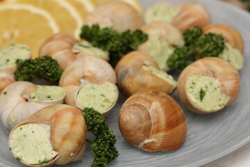 Stuffed snails