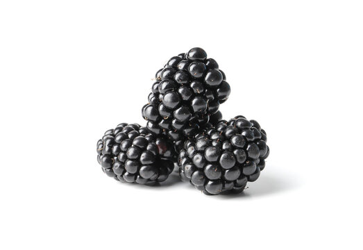 fresh ripe blackberry isolated on white background