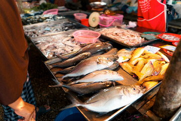 Fish market in Krabi,Raw seafood in a market near the tropical sea