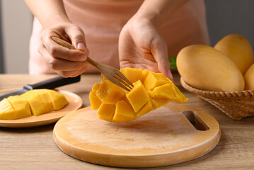 Hand holding fork and eating Thai mango fruit (Nam Dok Mai), Tropical fruit in summer season