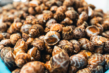 Fish market in Krabi,Raw seafood in a market near the tropical sea