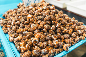 Fish market in Krabi,Raw seafood in a market near the tropical sea