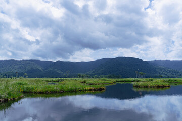 Fototapeta na wymiar 夏の尾瀬で撮影した緑が生い茂る山と、その山と雲がが映る池（水鏡）