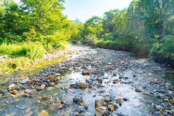 Obraz na płótnie Canvas 夏の尾瀬で撮影した川と、ゴツゴツした石と、緑生い茂る木々