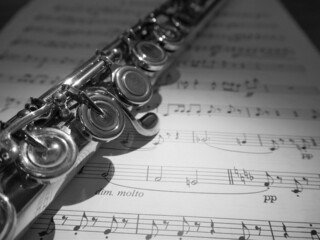 Obraz premium Flute and musical score