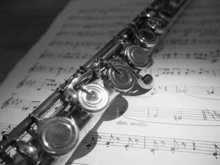 Flute and musical score