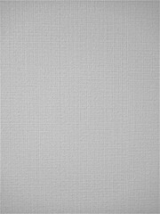 Fototapeta premium white wall paper texture