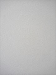 Fototapeta premium white wall paper texture