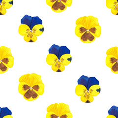 Seamless violet pattern. Yellow pansies. Watercolor illustration. Isolated on a white background.