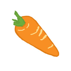 line drawing carrot and radish on white background