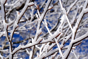 Schneewehen