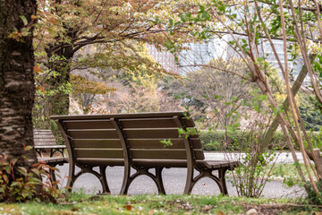 Fototapeta na wymiar Close up of wooden bench for sitting and relaxing in city park in downtown Tokyo, Japan