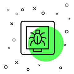 Black line Insects in a frame icon isolated on white background. Herbarium. Vector