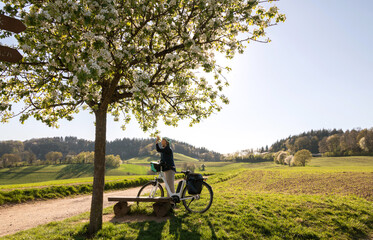 blühender Apfelbaum, Sonnen Gegenlicht, Radfahrerin macht Pause und genießt wunderschöne Odenwald Landschaft.
