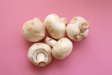 mushrooms on a pink background 