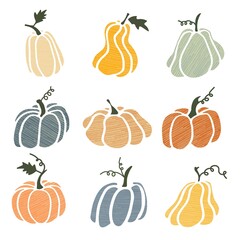 Set of textured pumpkins isolated on white background. Elements for autumn decorative design, halloween invitation, harvest thanksgiving. Vector illustration