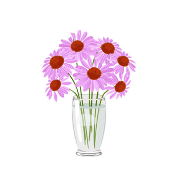 Bouquet of echinacea in transparent glass vase isolated on white background. Purple flowers vector illustration in cartoon flat style.