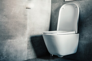White toilet bowl in the bathroom. Modern clean hause. Hygiene concept.