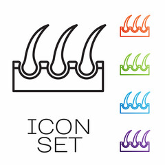 Black line Human hair follicle icon isolated on white background. Hair care treatment. Set icons colorful. Vector