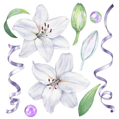 Set of isolated lilies to create a design. Watercolor illustration. Hand drawing - 500385235